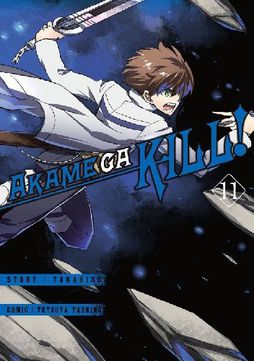 Akame ga Kill! #11
