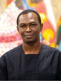 Akinwumi O. Ogundiran