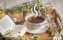 Z miłości do herbaty, czyli kilka książek dla wielbicieli aromatycznych naparów
