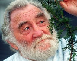 David Bellamy